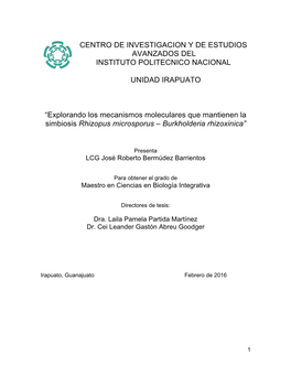 Bacterial Comparative Genomics