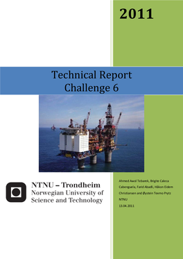 Technical Report Challenge 6