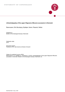 Lithostratigraphy of the Upper Oligocene–Miocene Succession Of