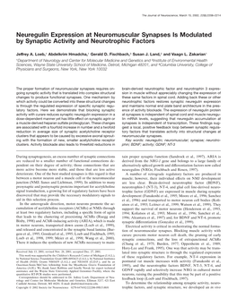 Neuregulin Expression at Neuromuscular Synapses Is Modulated by Synaptic Activity and Neurotrophic Factors