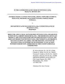 Amicus Brief