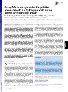 Drosophila Larvae Synthesize the Putative Oncometabolite L-2-Hydroxyglutarate During Normal Developmental Growth