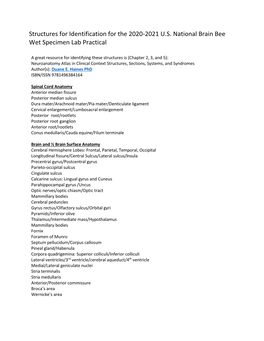 2020-2021Brain Bee Wet Lab Structures