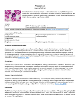 Anaplasmosis (Canine/Feline)