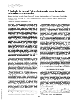 A Dual Role for the Camp-Dependent Protein Kinase in Tyrosine Hydroxylase Gene Expression KWANG-SOO KIM, DONG H