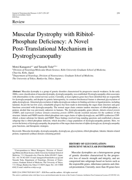 Muscular Dystrophy with Ribitol- Phosphate Deﬁciency: a Novel Post-Translational Mechanism in Dystroglycanopathy