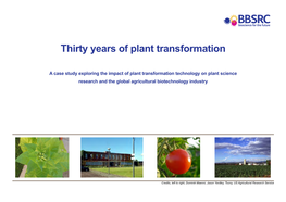 Thirty Years of Plant Transformation