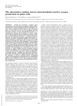 The Alternative Oxidase Lowers Mitochondrial Reactive Oxygen Production in Plant Cells