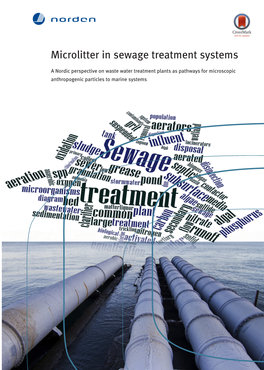 Microlitter in Sewage Treatment Systems