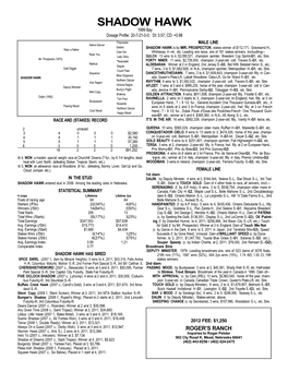 SHADOW HAWK 1999 Bay Dosage Profile: 20-7-21-0-0; DI: 3.57; CD: +0.98