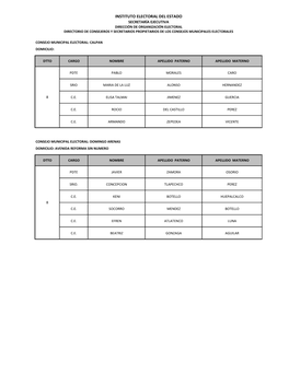 Instituto Electoral Del Estado