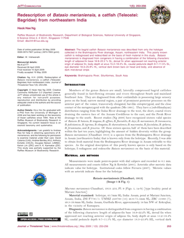 Redescription of Batasio Merianiensis, a Catfish (Teleostei: Bagridae) from Northeastern India