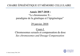 Sex Chromosomes and Dosage Compensation