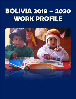 Bolivian-Work-Profile 2019-2020.Pdf