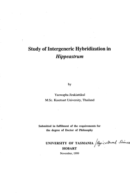 Study of Intergeneric Hybridization in Hippeastrum