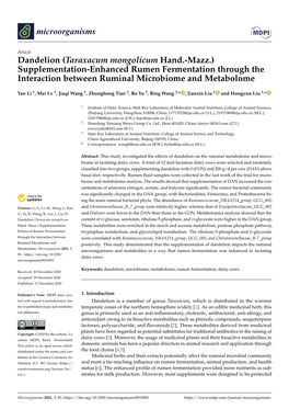 Dandelion (Taraxacum Mongolicum Hand.-Mazz.) Supplementation-Enhanced Rumen Fermentation Through the Interaction Between Ruminal Microbiome and Metabolome