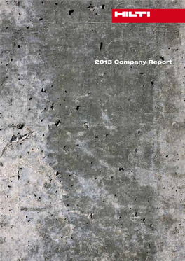 2013 Company Report