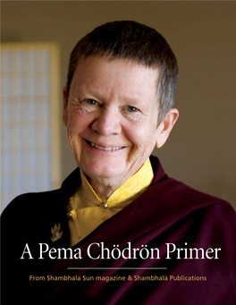 Pema Chodron Primer