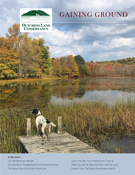 DLC-Fall-2019-Newsletter-Web.Pdf