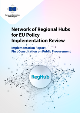 Reghub Implementation Report on Public Procurement