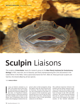 Sculpin Liaisons