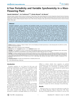 6-Year Periodicity and Variable Synchronicity in a Mass- Flowering Plant