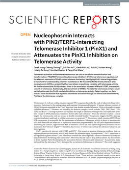 And Attenuates the Pinx1 Inhibition on Telomerase Activity