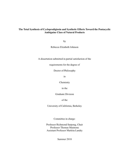 The Total Synthesis of Cycloprodigiosin and Synthetic Efforts Toward the Pentacyclic Ambiguine Class of Natural Products