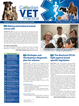 The Montreal SPCA's Fight Against Breed Specific Legislation Etiologies