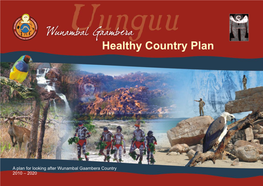 Healthy Country Plan