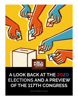 A Look Back at the 2020 Elections and a Preview of the 117Th Congress