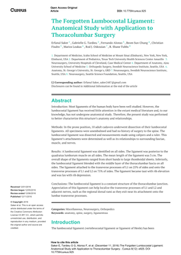 The Forgotten Lumbocostal Ligament: Anatomical Study with Application to Thoracolumbar Surgery