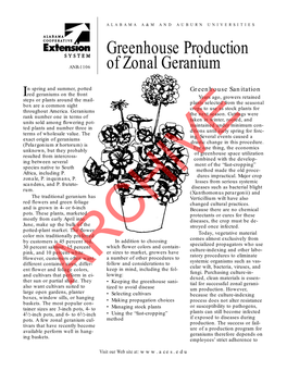 Greenhouse Production of Zonal Geranium