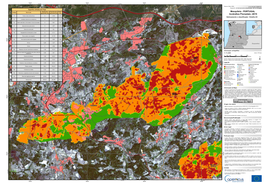 Incêndios Florestais