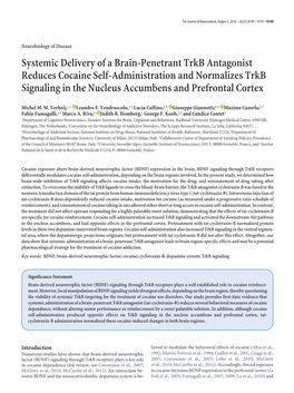 Systemic Delivery of a Brain-Penetrant Trkb Antagonist