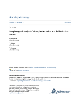 Morphological Study of Calcospherites in Rat and Rabbit Incisor Dentin