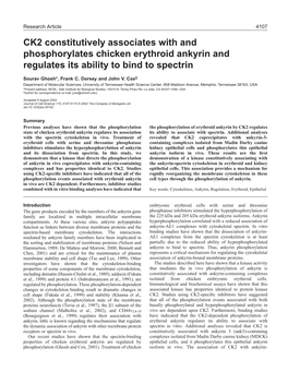 Ankyrin Regulation by Phosphorylation