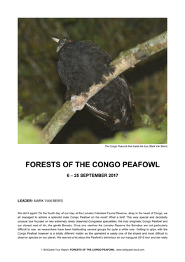 CONGO 2017 Tour Report