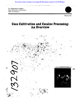 Coca Cultivation and Cocaine Processing: an Overview