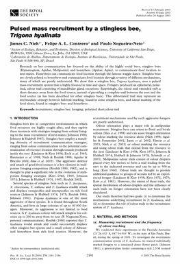 Pulsed Mass Recruitment by a Stingless Bee, Trigona Hyalinata