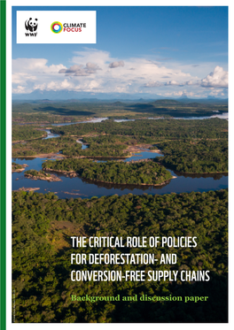 The Critical Role of Policies for Deforestation and Conversion-Free