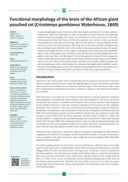 Functional Morphology of the Brain of the African Giant Pouched Rat (Cricetomys Gambianus Waterhouse, 1840)