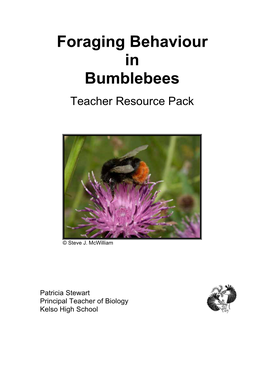 Foraging Behaviour in Bumblebees