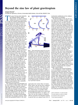 Beyond the Sine Law of Plant Gravitropism