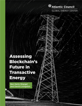 Assessing Blockchain's Future in Transactive Energy