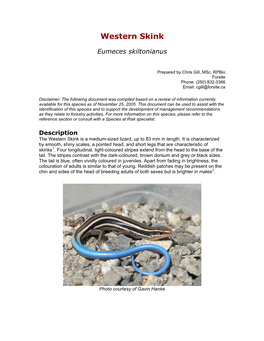 Western Skink Eumeces Skiltonianus in Canada