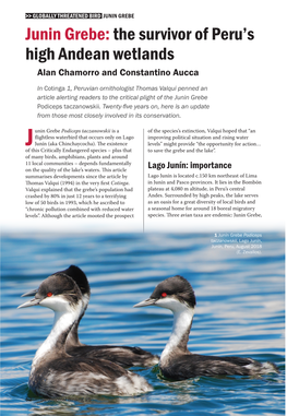 JUNIN GREBE Junin Grebe: the Survivor of Peru’S High Andean Wetlands Alan Chamorro and Constantino Aucca