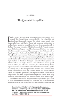 The Queen's Orang-Utan