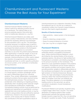 Chemiluminescent and Fluorescent Westerns: Choose the Best Assay for Your Experiment