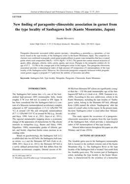 New Finding of Paragonite–Clinozoisite Association